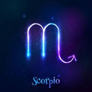 Meet your Posher, Josephine